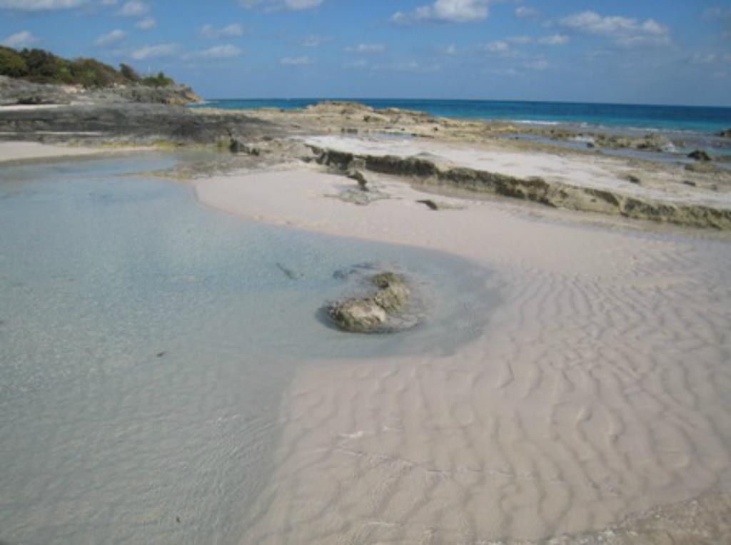 ماونت بليزانت Grape Bay Cottages المظهر الخارجي الصورة