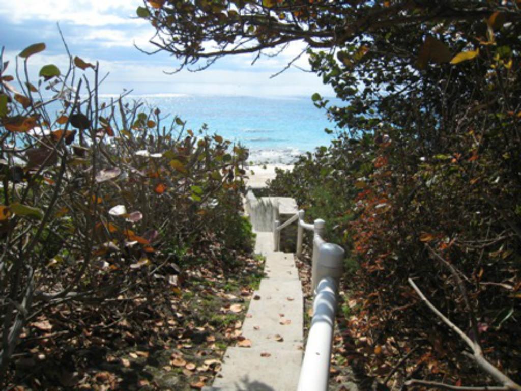 ماونت بليزانت Grape Bay Cottages المظهر الخارجي الصورة